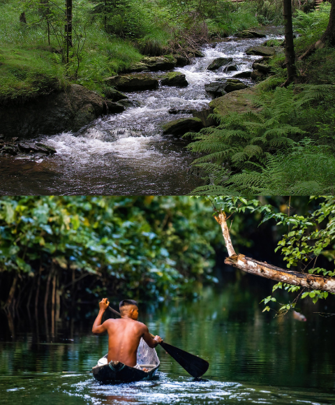Nature and aquascaping